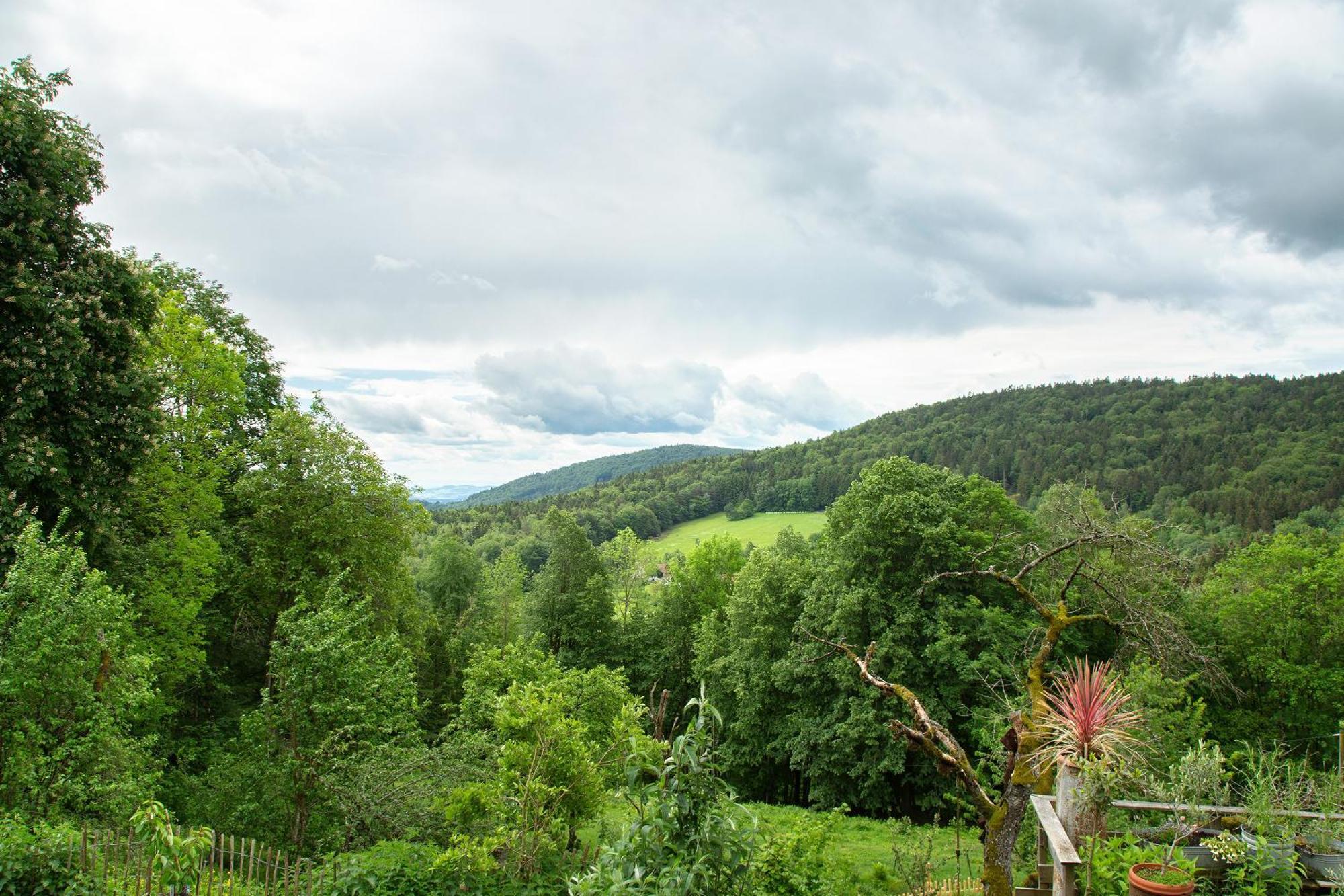 Landhaus Am Eselhof Daxstein Schöllnach Exteriör bild
